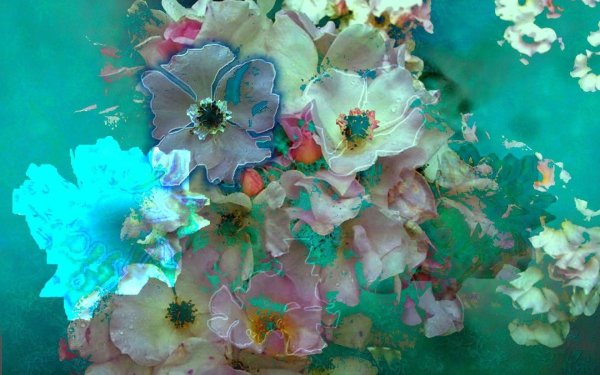 изабель менин