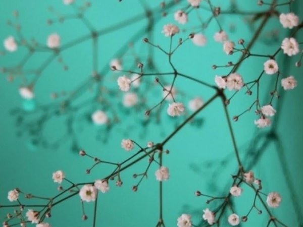 весна эстетика