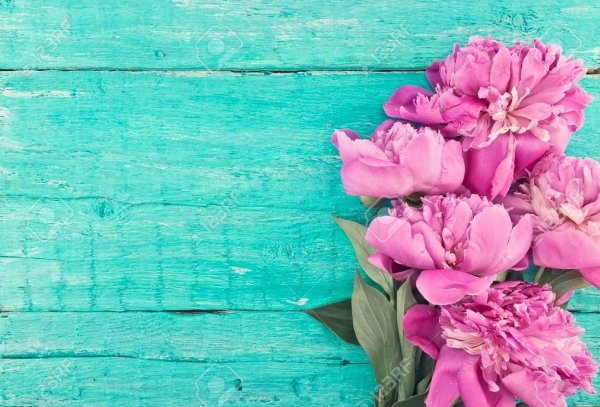 бирюзово розовый фон