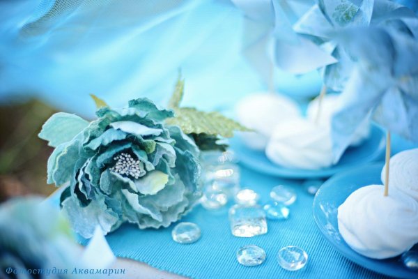 голубой пион