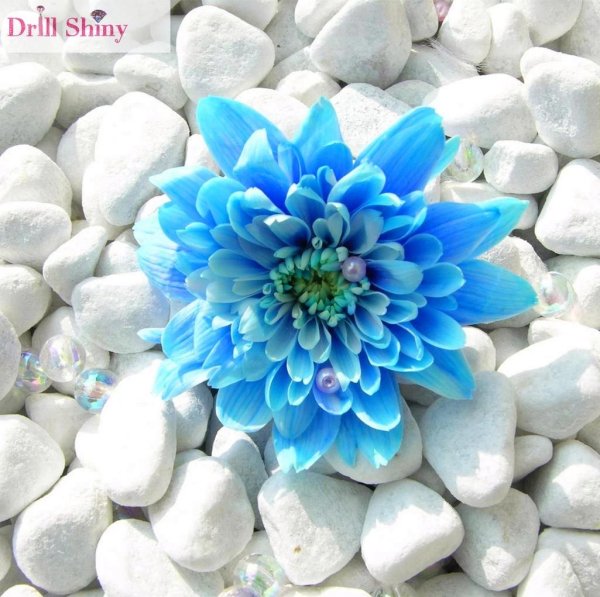 блуе фловер