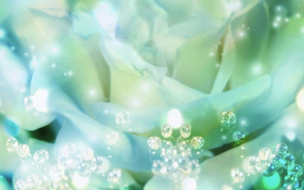 нежные фоны