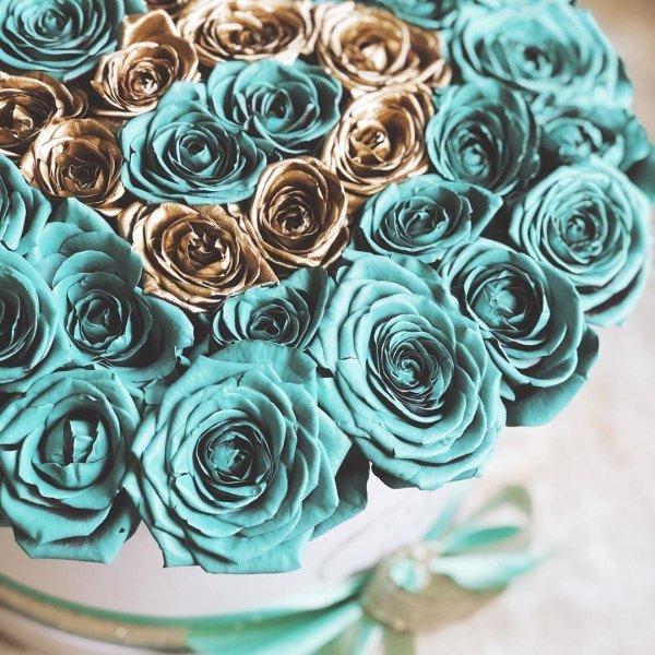 бирюзовая роза