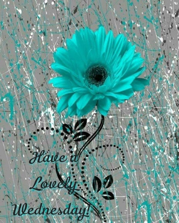 бирюзовый клэр