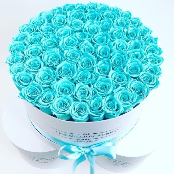 букет голубых роз