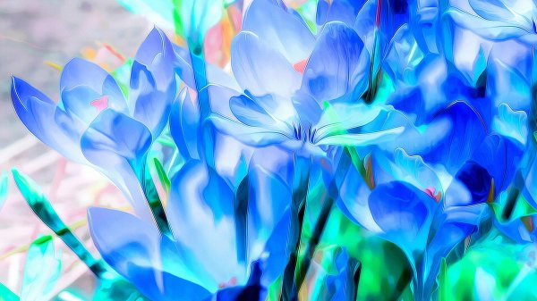 цветок абстракция