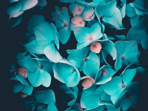 бирюзовая заставка