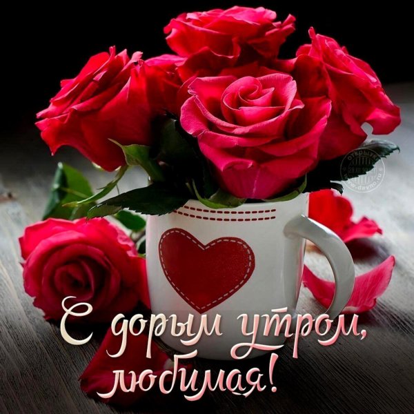 Утро девушка