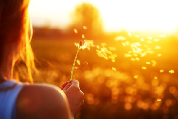 Солнце девушка