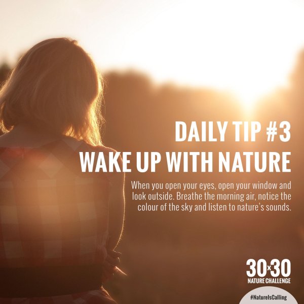 Солнце девушка