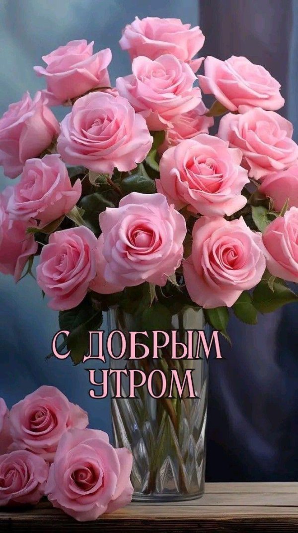 доброго утра розы