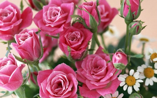 С цветами пожалуйста