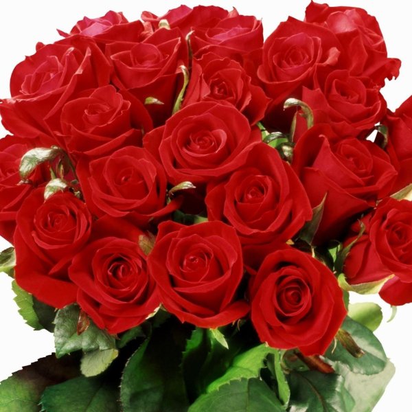 открытка с розами