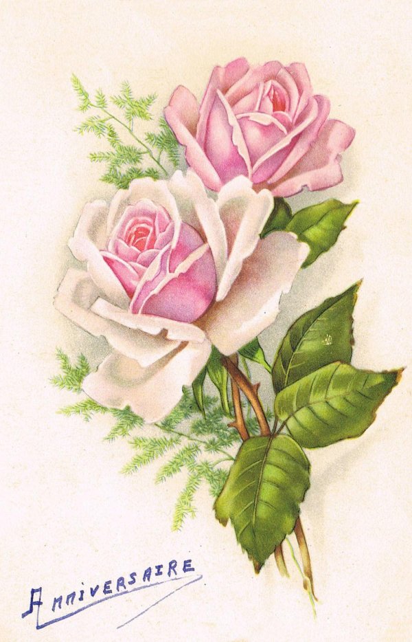 старинные открытки с розами