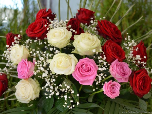 красивая букет