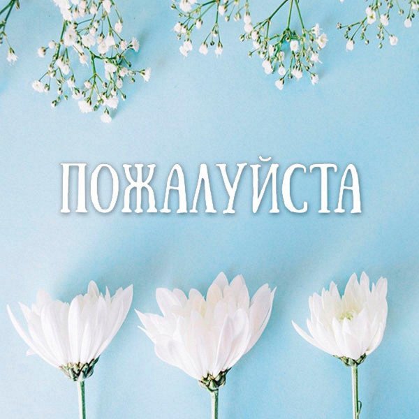 цветочные фоны