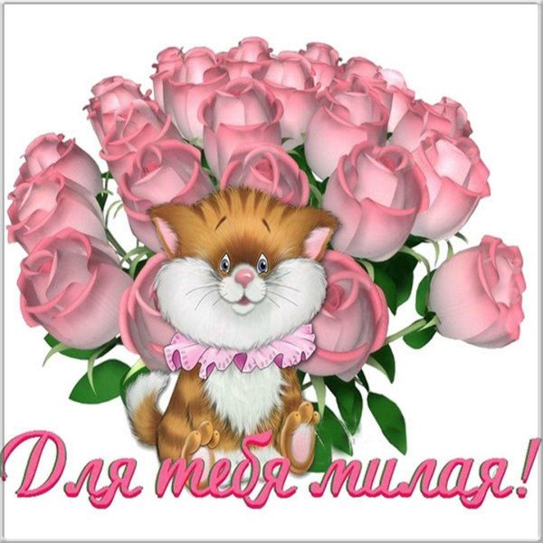 мультяшный кот