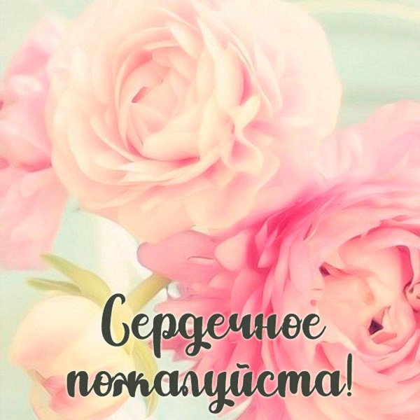 ранункулюс персиковый