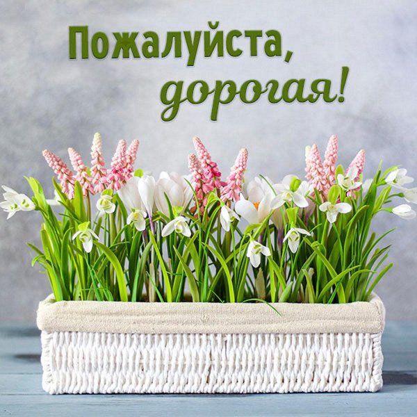 хорошей весны