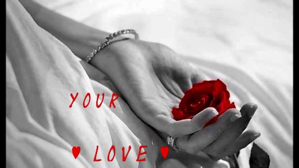 Девушка и розы