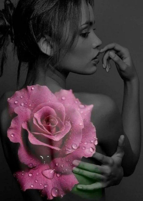 Девушка и розы
