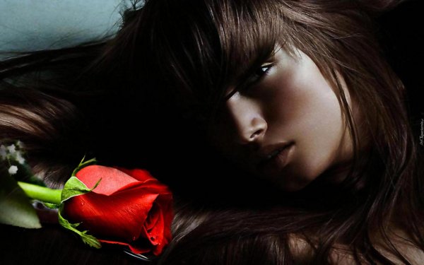 Девушка и розы