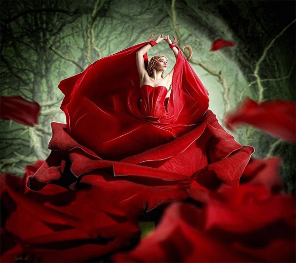 Девушка и розы