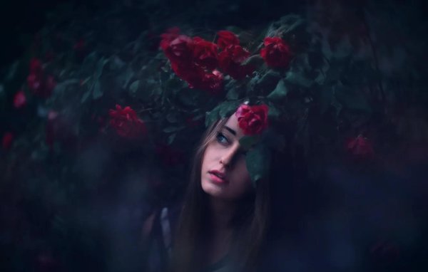 Девушка и розы