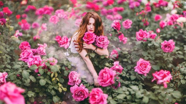 Девушка и розы
