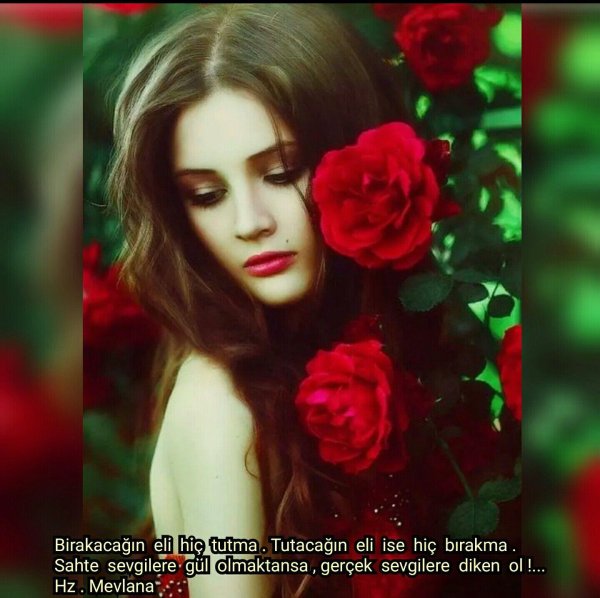 Девушка и розы