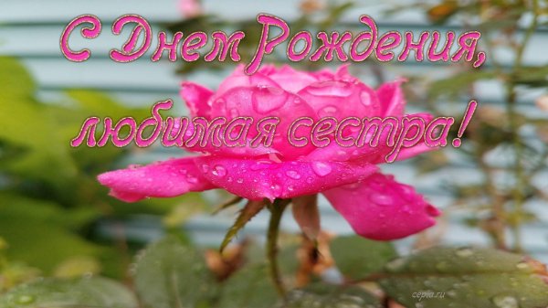 с день рождения сестра
