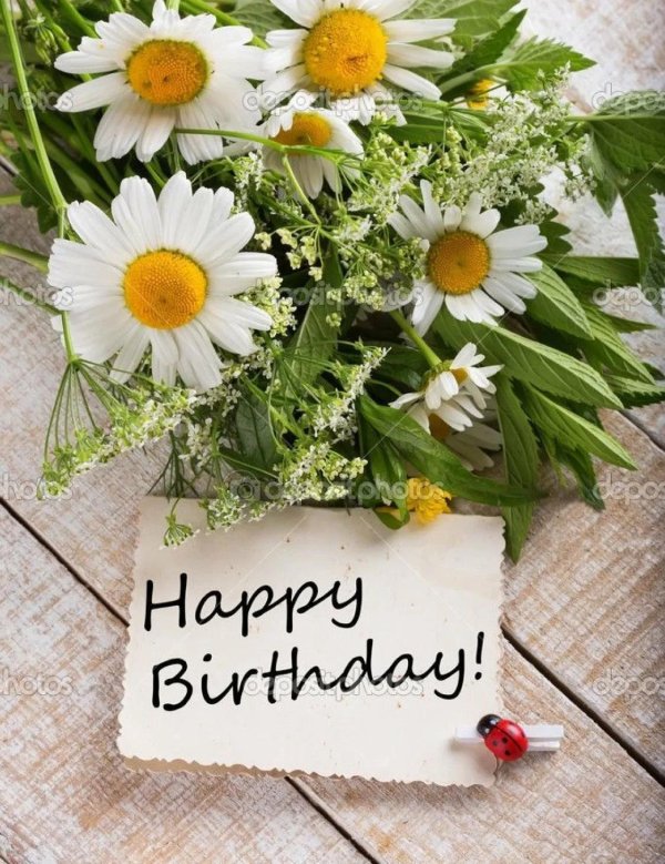 цветок happy birthday