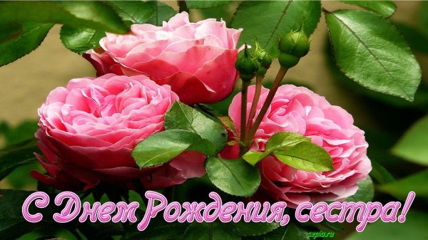 с день рождения сестра