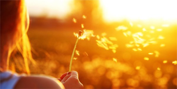 Девушка и солнце