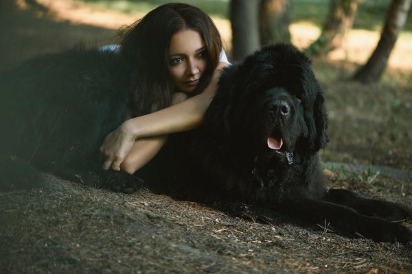Девушка с собакой