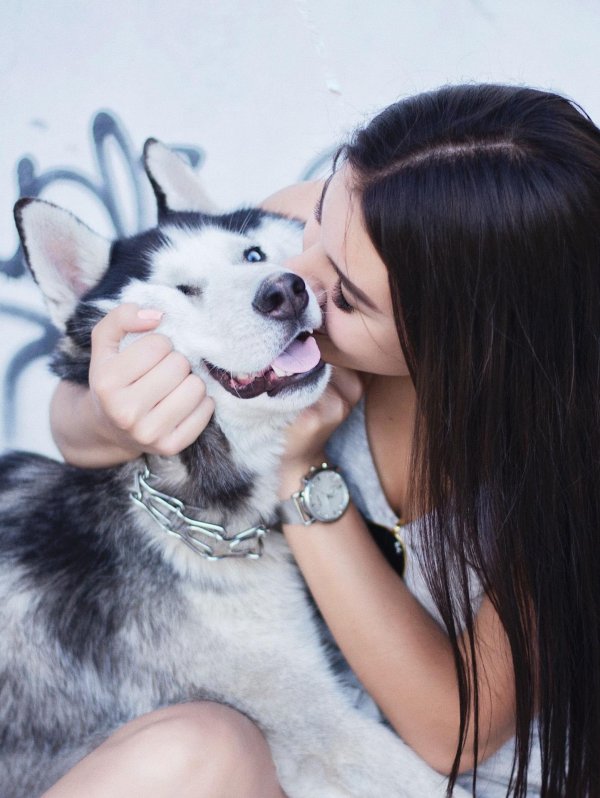 Девушка с собакой