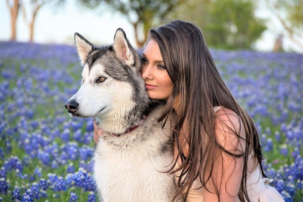 Девушка с собакой