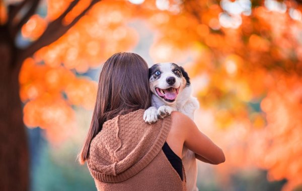 Девушка с собакой