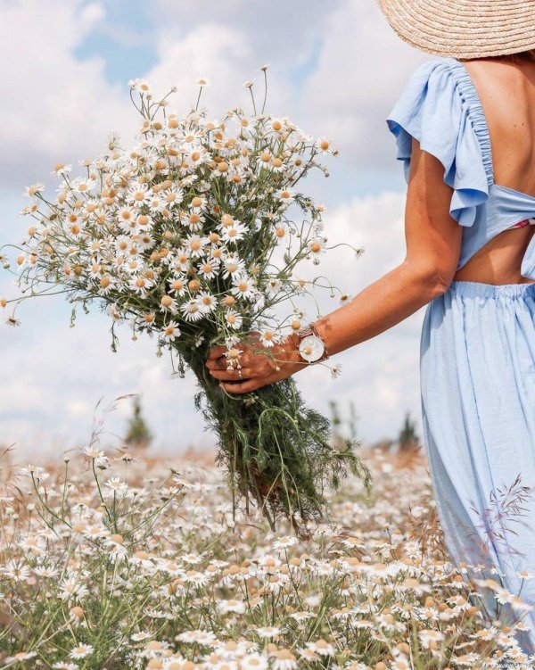 женщина лето