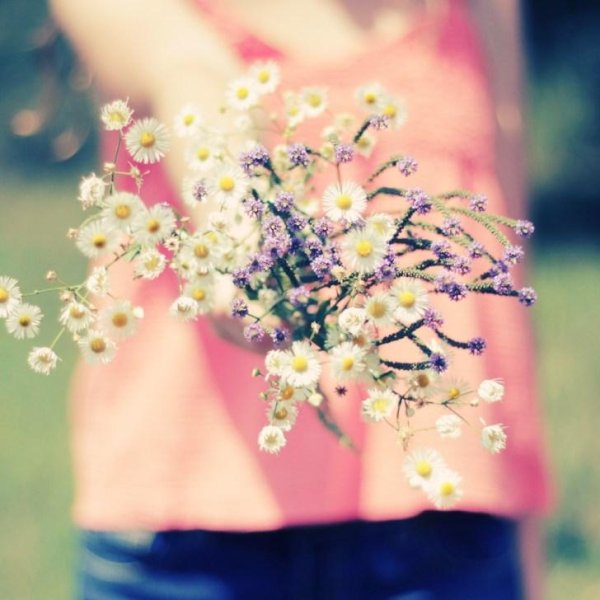 цветок нежный