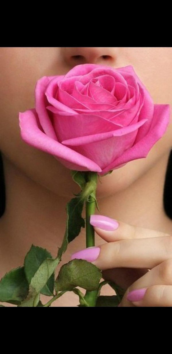 аватарка на ватсап для женщин цветы