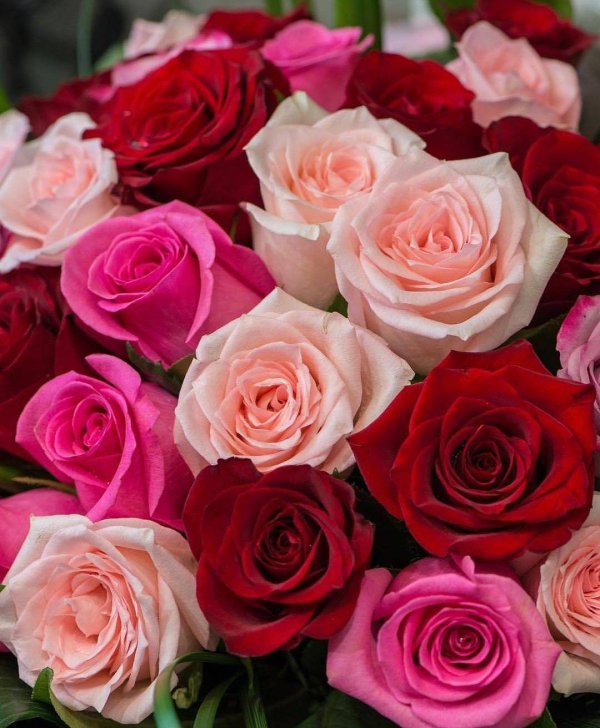 красивый букет