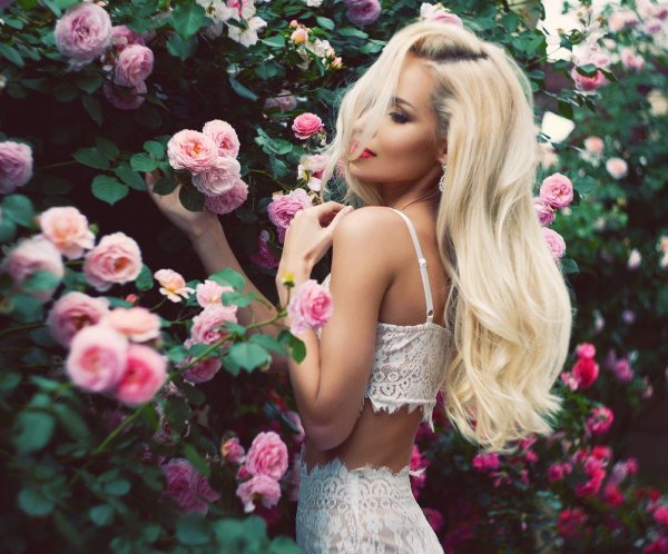 свит блонди sweet blondie