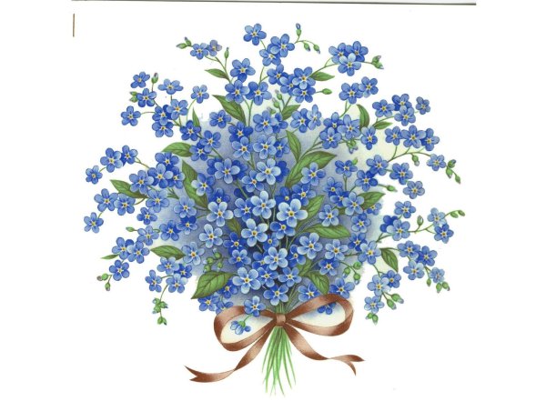 Девушка с незабудками