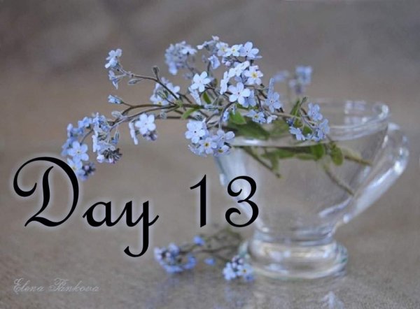 Девушка с незабудками