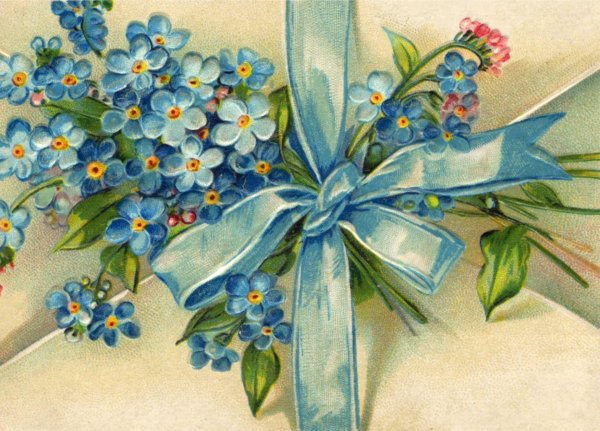 Девушка с незабудками