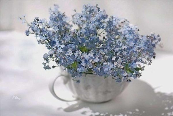 Девушка с незабудками