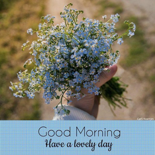 Девушка с незабудками