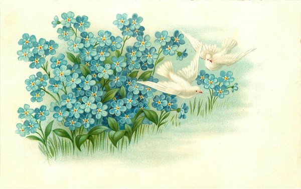 Девушка с незабудками