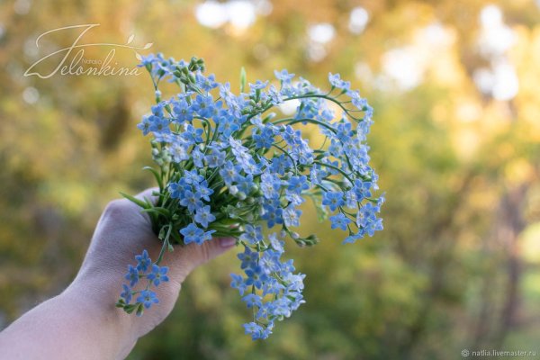 Девушка с незабудками